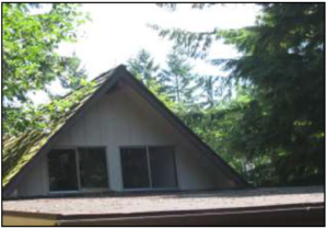 A view of the Chalet Roof